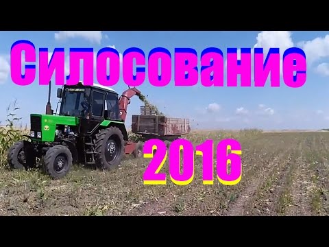 Видео: МТЗ 82.1 с косилкой КИР 1.5 и ЮМЗ -6 с прицепом 2птс 4 силосование 2016