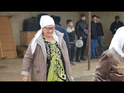 Видео: 31/10/2025 Беташар