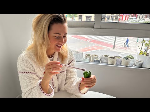 Видео: Стыдно от того, что столько потратила денег за литопсы! 💶🕊️31.01.2024.