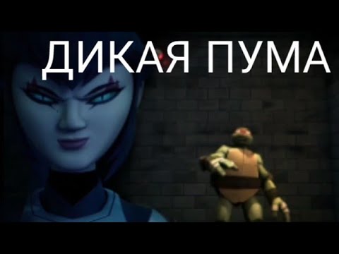 Видео: РАФ и КАРАЙ |дикая пума|