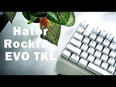 Видео: Стоит ли покупать Hator rockfall EVO TKL в 2022 году?