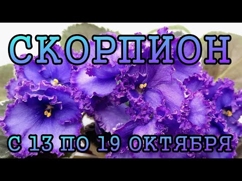Видео: СКОРПИОН таро прогноз на неделю с 13 по 19 ОКТЯБРЯ 2025 года