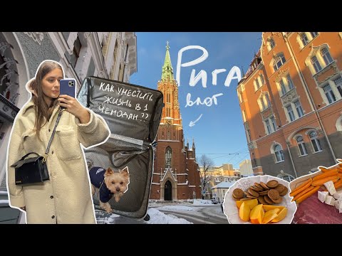 Видео: Упакуй Жизнь в 1 Чемодан, Что Сейчас Читаю | Последние Рижские Будни