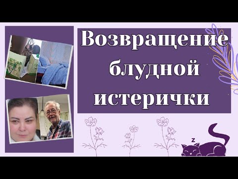 Видео: Возвращение блудной истерички 😂😁😂