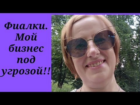Видео: Жара!!! Самые главные советы по уходу. Как сейчас себя чувствуют мои фиалки.