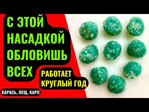 Видео: Насадка для рыбалки на КАРАСЯ, КАРПА, ЛЕЩА. Лови круглый год, даже по ХОЛОДНОЙ ВОДЕ.