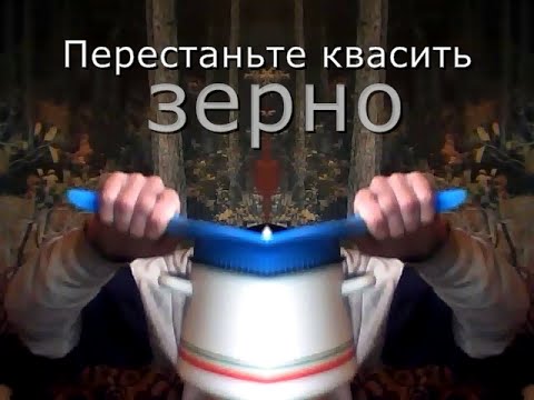 Видео: Перестаньте квасить зерно: Проращивание как в природе пшеницы, злаков, бобовых, семян