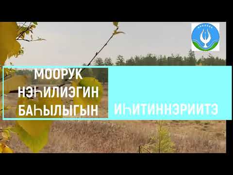 Видео: Суола ТВ 6 таһаарыыта