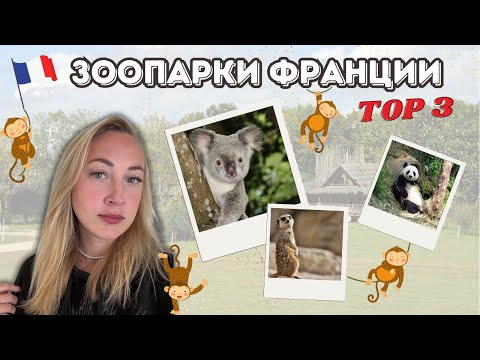 Видео: VLOG // Зоопарки Франции 🦁 Кормим животных 🌱 Что нас удивило в Лионе?