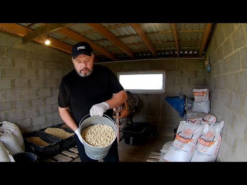 Видео: КОРМА ДЛЯ БРОЙЛЕРОВ. Часть 2 - Переход на БВМК от "МегаМикс". РЕЦЕПТ РАЦИОНА ДЛЯ БРОЙЛЕРОВ