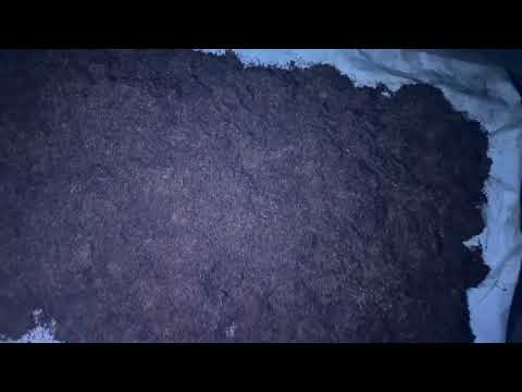 Видео: Табак-завершение ферментации 