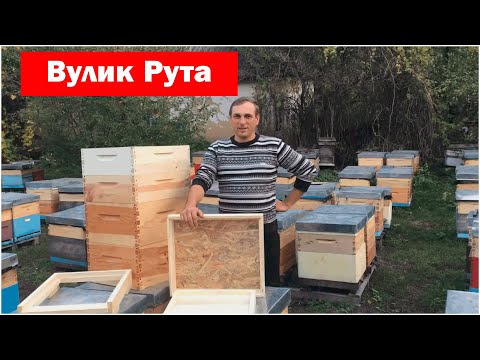 Видео: Вулик Рута  АМЕРИКАНСЬКА ЯКІСТЬ