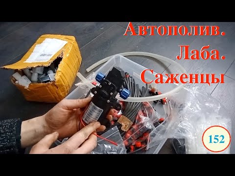 Видео: [152] Автополив на стеллажах. Ламинары в нашей лабе. Сотни банок со средой. Саженцы