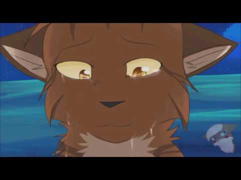 Видео: Коты-Воители - Не умрём