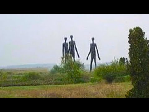 Видео: На Видеорегистратор Сняли Такое, Что Никто не Должен Был Увидеть! Топ 10