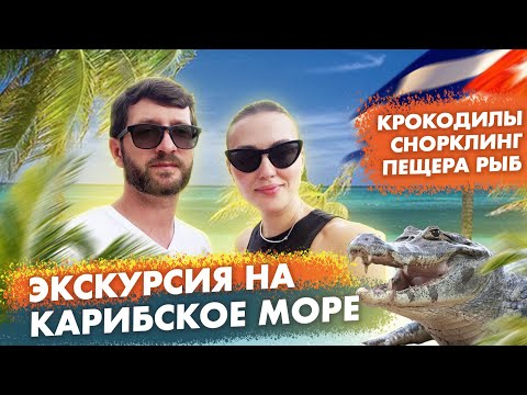 Видео: Тур на Карибское море. Крокодиловая ферма, снорклинг, лангусты. Отдых на Кубе 2024.
