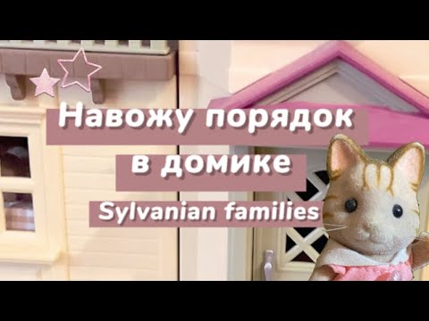 Видео: Навожу порядок в домике Sylvanian Families 🏠