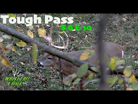 Видео: Сложный пас на этого иллинойского МОНСТРА