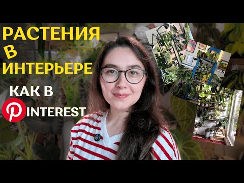 Видео: РАСТЕНИЯ в квартирах ПОДПИСЧИКОВ | стильные ЗЕЛЁНЫЕ ЗОНЫ, полки и СТЕЛЛАЖИ🪴