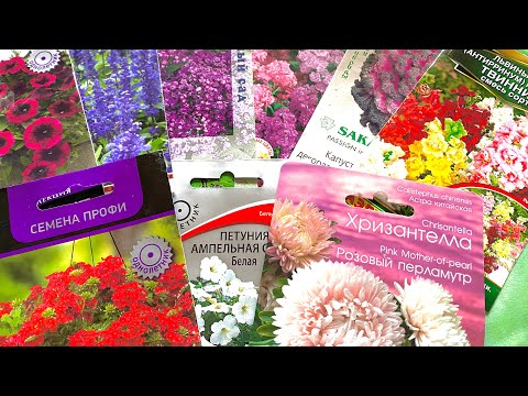 Видео: ✨💥💐Семена цветов-обзор сезона 2023 ! Калейдоскоп простых и одновременно роскошных однолеток#цветы