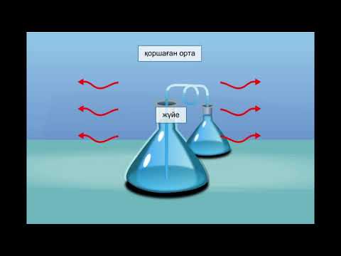 Видео: ТЕСТ ЖАУАПТАРЫМЕН  ЭКЗОТЕРМИЯЛЫҚ ЖӘНЕ ЭНДОТЕРМИЯЛЫҚ РЕАКЦИЯЛАР