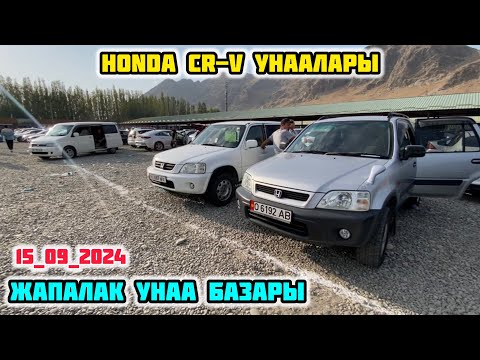 Видео: Жапалак Унаа Базары / 15-Сентябрь2024 Жыл  @Aalamkabar97