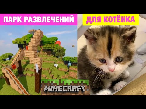Видео: Строю для Спасённого Котёнка ПАРК РАЗВЛЕЧЕНИЙ в Майнкрафт 😻