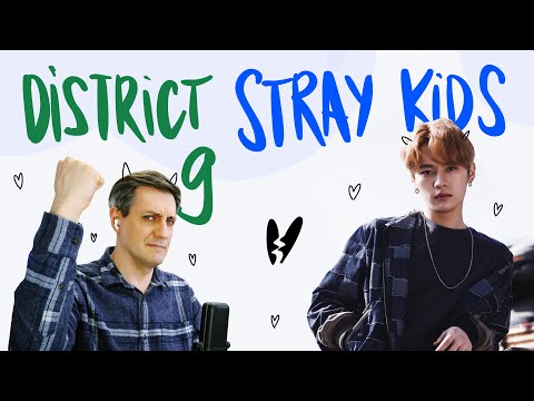 Видео: Честная реакция на Stray Kids — District 9