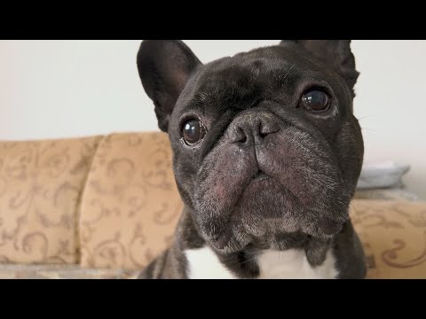 Видео: Давно Олег не проводил распаковки…