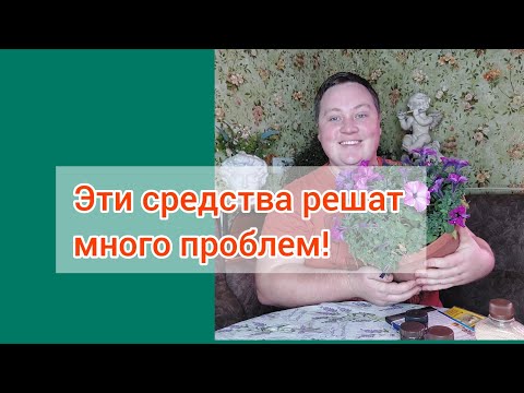 Видео: Аптечка садовода!//Избавляемся от мошек на растениях!😉🌱☝