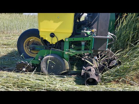 Видео: Underground agriculture. Джо Базет. Посев по покровным культурам. Бинарные посевы.