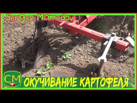 Видео: Окучивание картофеля🥔 самодельными окучниками.