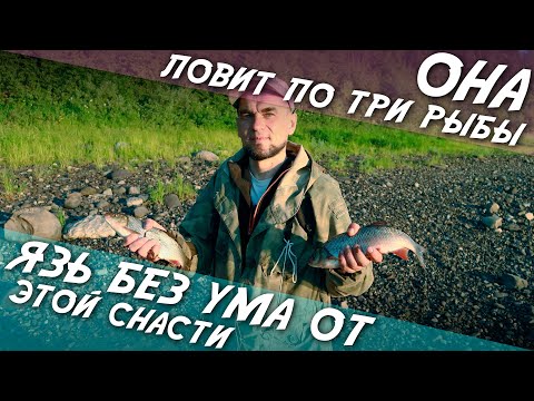 Видео: Язь без ума от этой снасти  Она ловит по три рыбы
