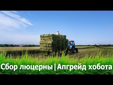 Видео: Сбор люцерны | Апгрейд хобота