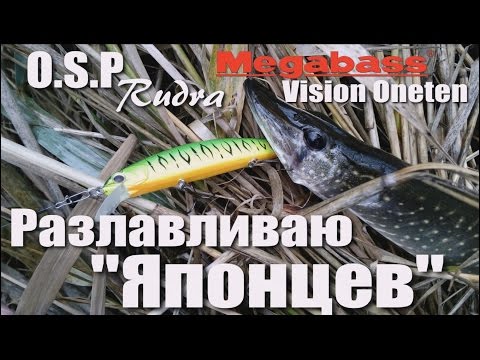 Видео: Ловля щуки на воблеры. Твичинг. O.S.P Rudra / Megabass Vision Oneten