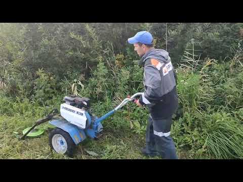 Видео: Косим с Лёхой лыжню второй раз.