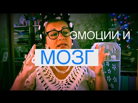 Видео: 102 ЭМОЦИОНАЛЬНЫЙ АБЬЮЗ. РАЗВИТИЕ МОЗГА И ЛИЧНОСТИ. ТРАВМЫ.