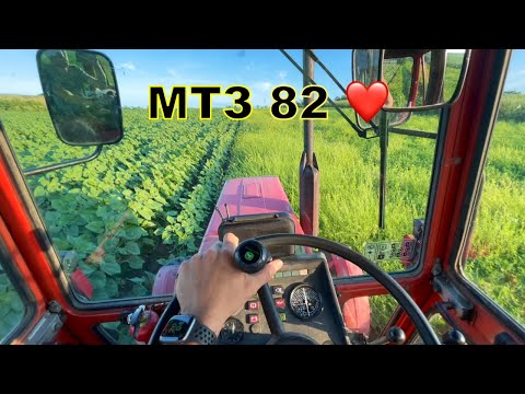 Видео: МТZ 82 BELARUS TRACTOR CAB VIEW