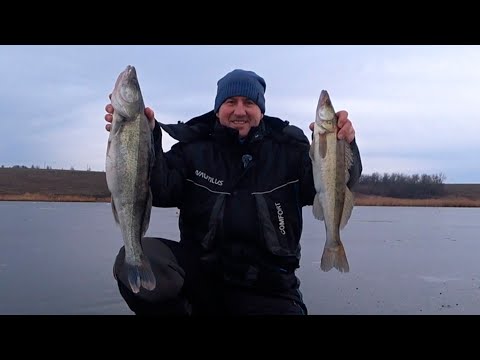 Видео: СУДАК НА ЖЕРЛИЦЫ! Зимняя рябалка!