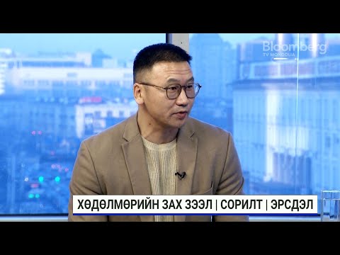 Видео: Ш.Баярмагнай: Хөдөлмөр эрхлэлтийг дэмжих хуулийн хэрэгжилт муу байна