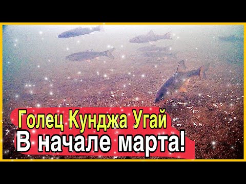 Видео: Рыбалка с ночевкой на реках севера Сахалина. 100 км по тундре на снегоходах