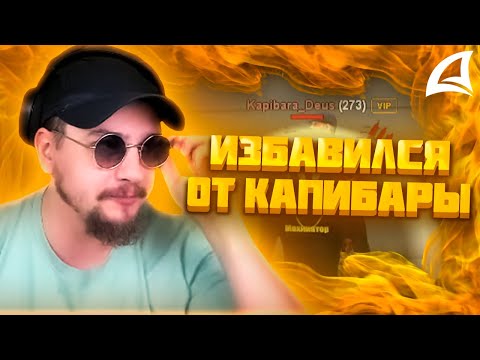 Видео: МАРАС ШАКУР ПРИХЛОПНУЛ КАПИБАРУ НА GILBERT