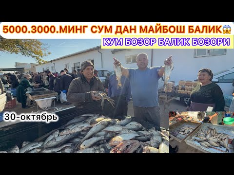 Видео: 5000.3000.МИНГ СУМ ДАН МАЙБОШ БАЛИК КУМ БОЗОР БАЛИК БОЗОРИ 30- октябрь 2025 г.