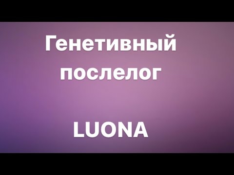 Видео: ПОСЛЕЛОГ LUONA