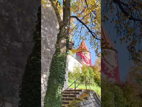 Видео: Что нас ждало в Германии?! (Моя история 3 ч.).