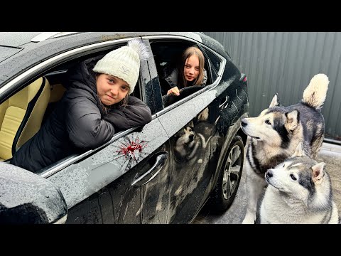 Видео: ПОДПИСЧИКИ ЗАЛЕЗЛИ КО МНЕ В МАШИНУ !