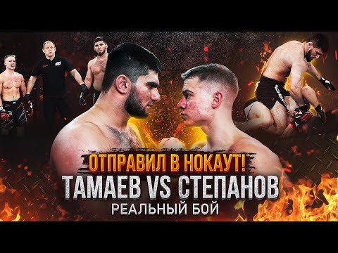 Видео: Тамаев vs. Степанов. Бой по ММА. Отправил в Нокаут!