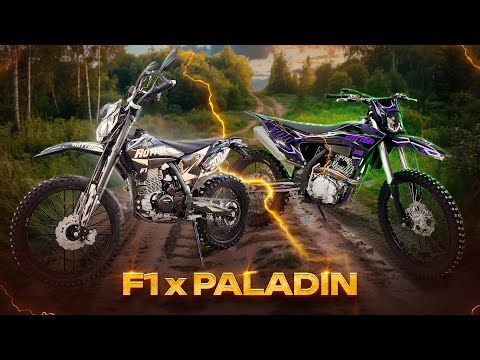 Видео: ЯКА Ж МІЖ НИМИ РІЗНИЦЯ ?! Порівняння цих двох звірів ! Нарешті огляд на Rottor Paladin