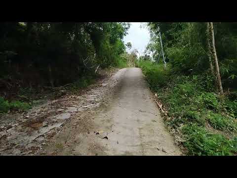 Видео: Патонг 005 07-11-2025