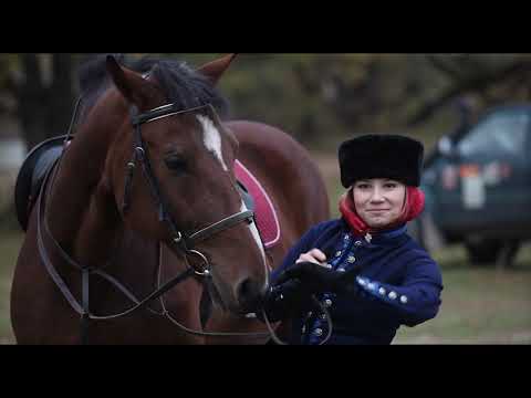 Видео: Конная охота с борзыми собаками (2014-10-04)
